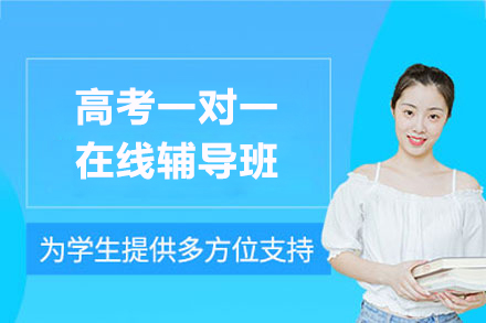 高考一对一在线辅导班