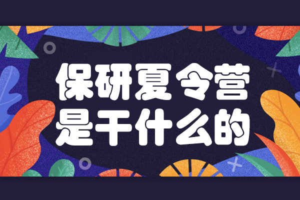 保研夏令营是干什么的