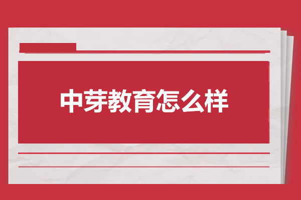 太原中芽教育怎么样