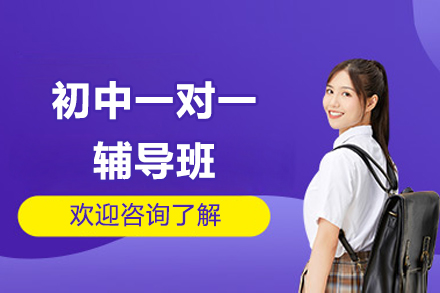 北京初中一对一辅导班