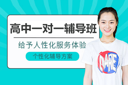 北京高中一对一辅导班