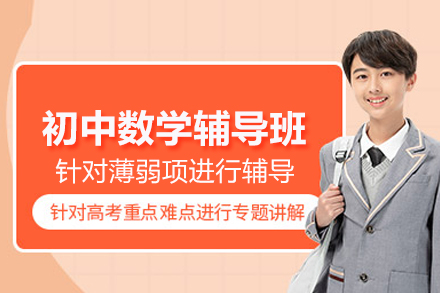 武汉初中数学辅导班