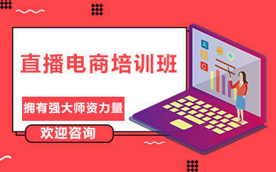 北京直播电商培训班