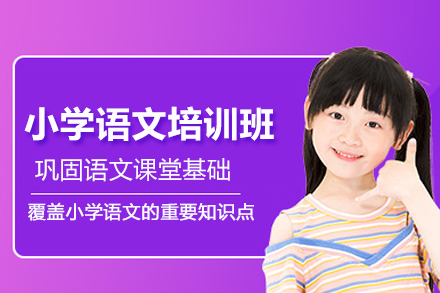 武汉小学语文培训班