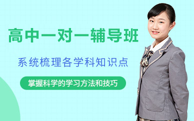 北京高中一对一辅导班