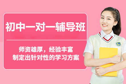 北京初中一对一辅导班