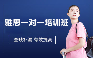 北京雅思一对一培训班