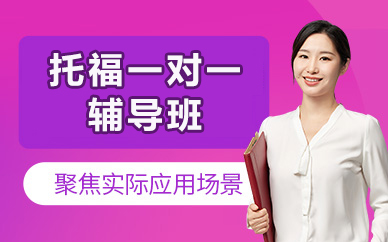 北京托福一对一辅导班