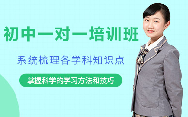北京初中一对一培训班