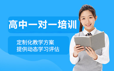 北京高中一对一培训