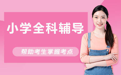 北京小学全科辅导