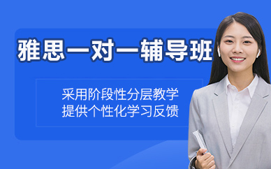 北京雅思一对一辅导班