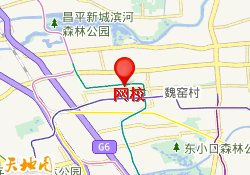 网校
