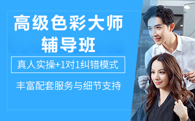 北京高级色彩大师辅导班