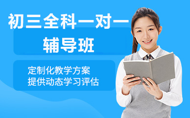 北京初三全科一对一辅导班