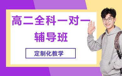 北京高二全科一对一辅导班