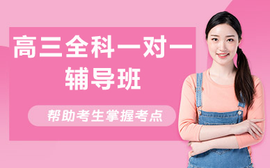 北京高三全科一对一辅导班