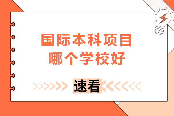 国际本科项目哪个学校好-国际本科项目学校推荐