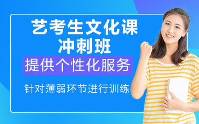 北京艺考生文化课冲刺班