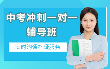 北京中考冲刺一对一辅导班