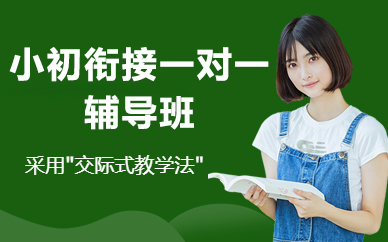 北京小初衔接一对一辅导班