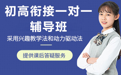 北京初高衔接一对一辅导班