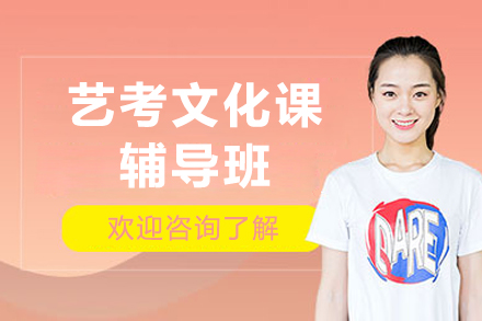 沈阳艺考文化课辅导班