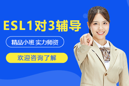沈阳ESL一对三辅导班