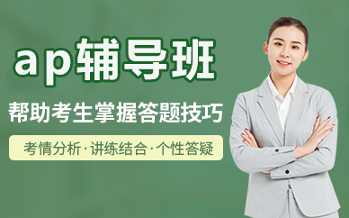 北京ap辅导班
