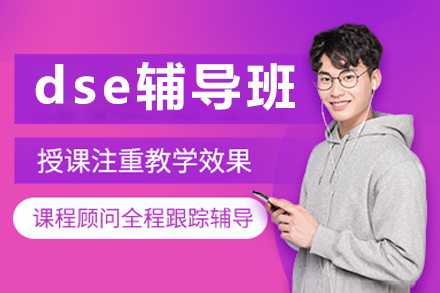 北京dse辅导班