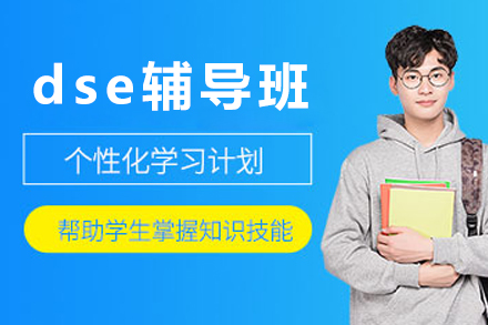 北京dse辅导班