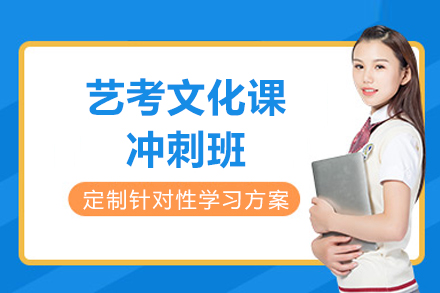 成都艺考文化课冲刺班