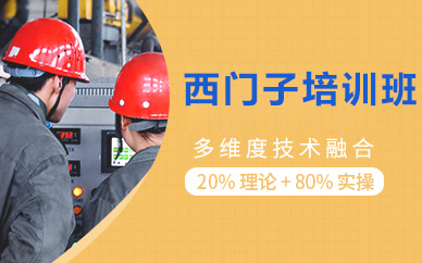 北京西门子培训班