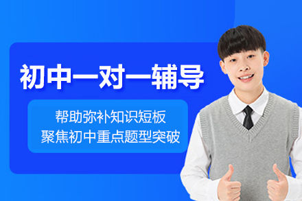 北京初中一对一辅导班