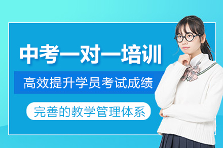 北京中考一对一培训班