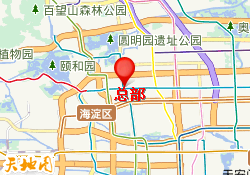 总部