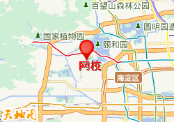 网校