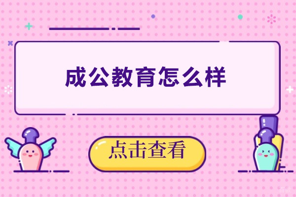 上海成公教育怎么样-上海成公教育如何