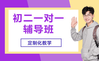 北京初二一对一辅导班
