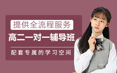 北京高二一对一辅导班