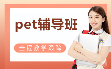 北京pet辅导班