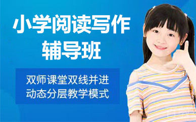 北京小学阅读写作辅导班