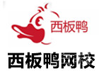 西板鸭网校