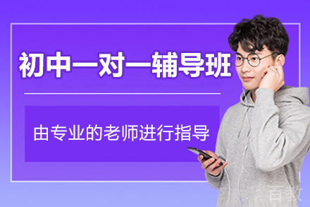 北京初中一对一辅导班