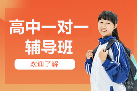北京高中一对一辅导班