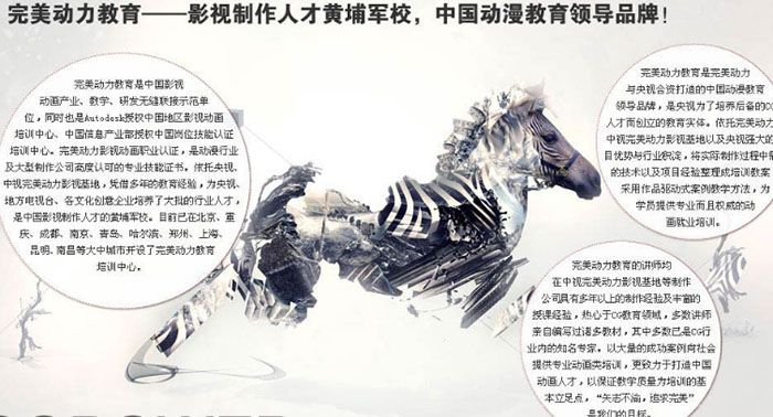 完美动力