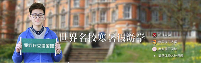 立信国际学院