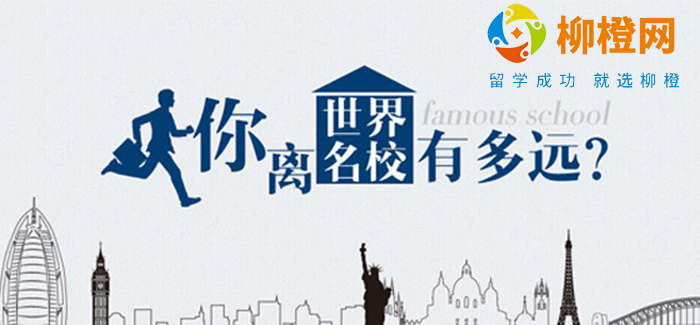 柳橙网