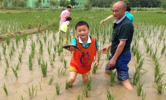 小伙伴教育