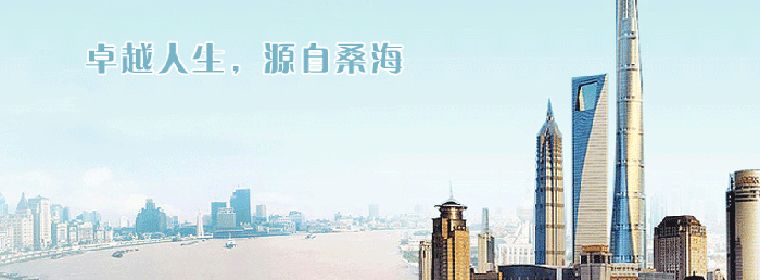 上海桑海教育